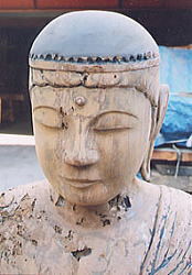 気品あふれる顔立ち